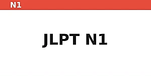 N1 Grammar